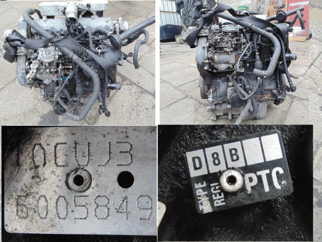 Двигатель D8B голый без навесного оборудования FIAT SCUDO 1.9 TD